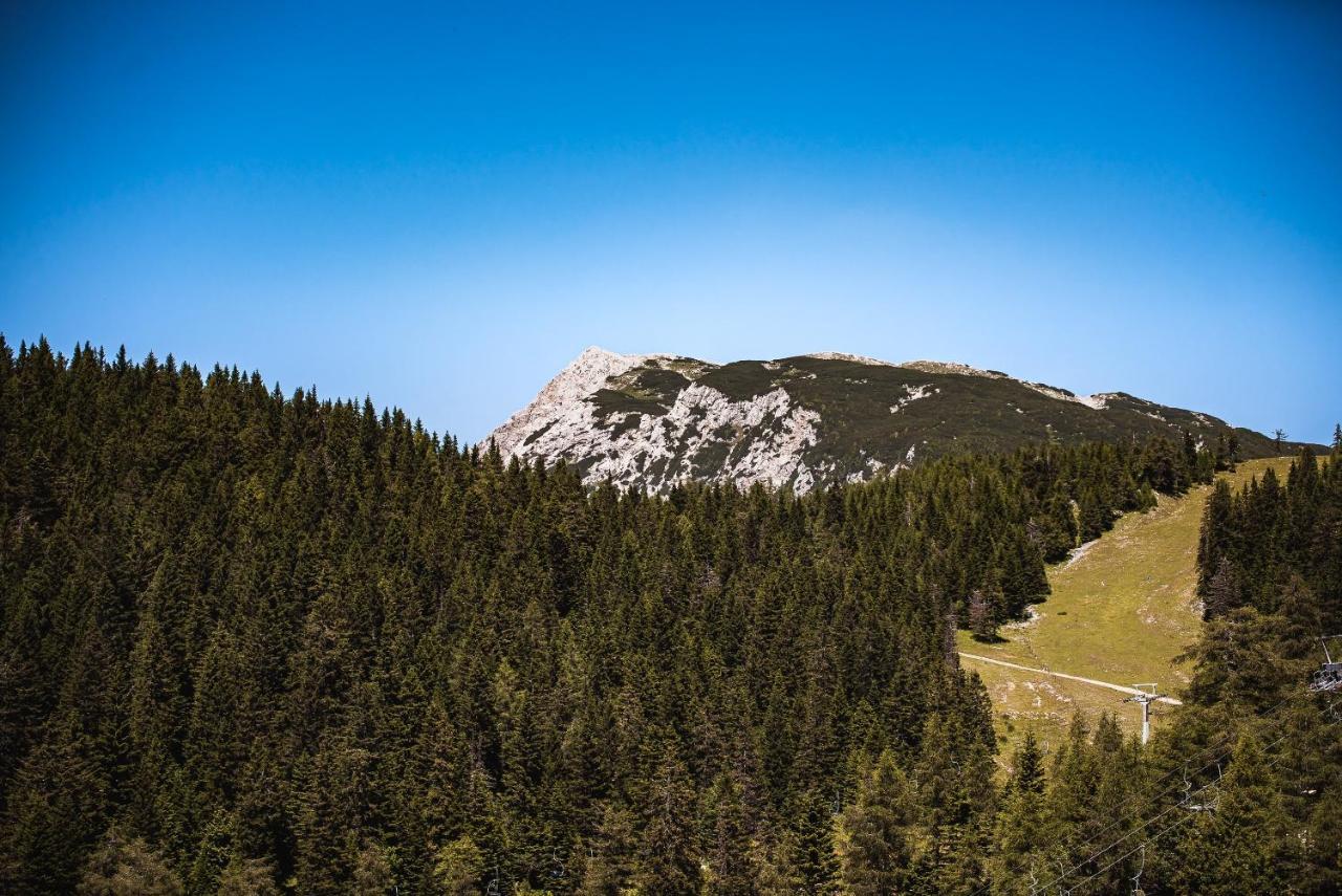Apartments Zvoh, Krvavec, Ski-In, Ski-Out Cerklje na Gorenjskem Exterior foto